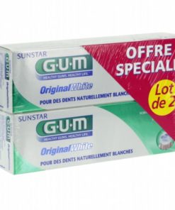 Gum 2 Dent Original White N1745/2