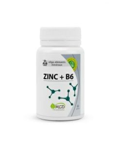Mgd Zinc B6 60 gelules