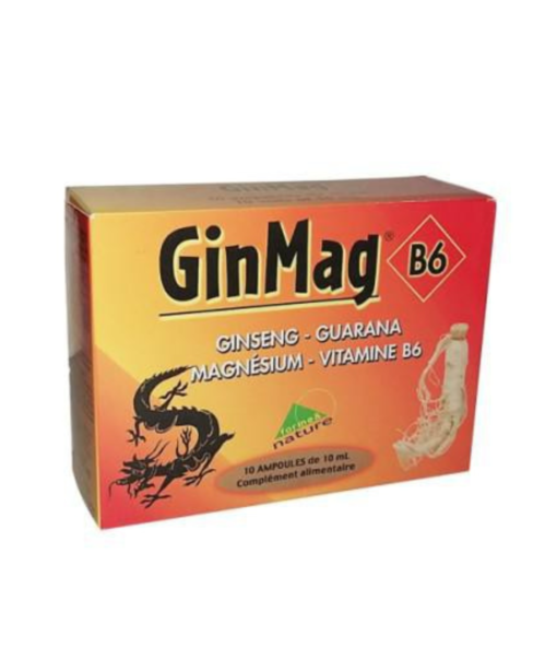 Ginmag B6 Forme Et Nature 10 Ampoules