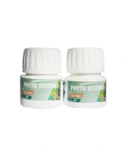 Phyto Systeme The vert & Ail 60 gélules