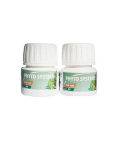Phyto Systeme The vert & Ail 60 gélules