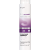 Erayba Bio Smooth BS12 smoothing shampoing 250ml