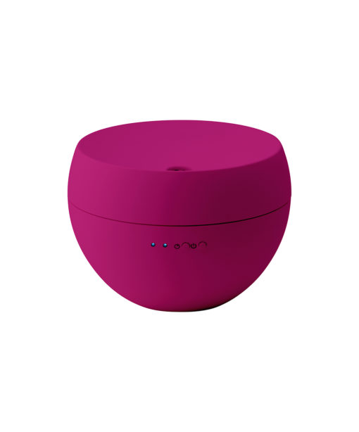 DIFFUSEUR Huile Essentielle Framboise Jasmine