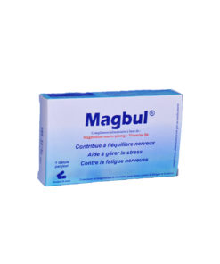 MAGBUL Magnesium 300MG 30 Gélules