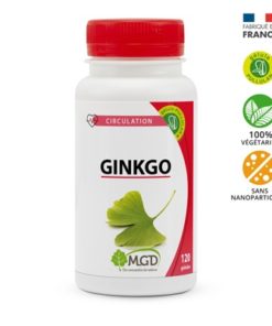 MGD Nature Ginkgo 120 Gélules